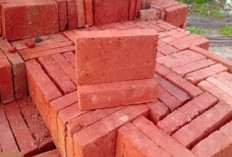 Daftar Harga Batu Bata Merah Terbaru Tahun 2023, Mulai dari yang Biasa hingga Ekspos