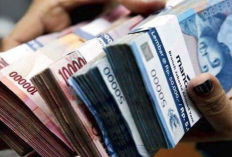 Daftar Gaji Outsourcing Terbaru 2023, Pengganti Tenaga Kerja Honorer