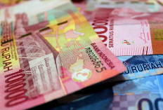 Cara Cek Pinjol Legal Atau Ilegal, Jangan Sampai Tertipu! Cari Tau Dulu Seluk Beluknya