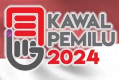 Temui Kecurangan dalam Pemilu? Segera Laporkan ke Kawalpemilu org 2024 Lengkap Beserta Cara Menggunakannya!