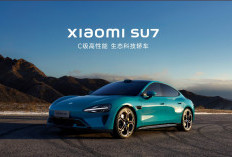 Spécifications Complètes de Xiaomi SU7 Max Single Speed, Nouvelle Voiture Prête au Choix !