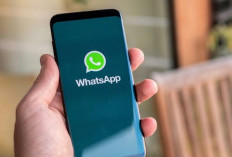 Link Download WA GB yang Asli Untuk Android, Dapatkan Fitur Pengeditan Pesan yang Lebih Banyak