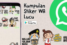 Download Kumpulan Stiker WA SIAP BOS Lucu dan Bikin Seru, Caranya Install Ada Disini!