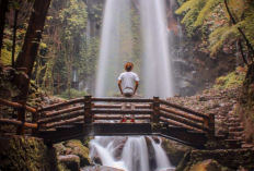 Air Terjun Jumog, Karanganyar: Harga Tiket Masuk 2023, Lokasi, Fasilitas, & Jam Operasional