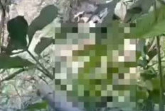 Viral Video Asusila 2 Pria di Sungai Brantas Malang, Polisi Buru Pelaku dan Selidiki Identitas