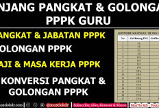 Daftar Pangkat Golongan PPPK? Cek Selengkapnya Beserta Besaran Gaji Bersih yang Diterima