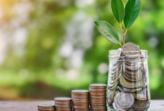 Download Money Easily MOD Apk 2024, Unduh Disini Buat Kamu yang Pengen Hasilkan Uang!