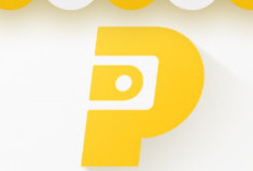 Daftar Kode Undangan Pinjam Gampang Februari 2024 Langsung Dapat Saldo Gratis Sampai Jutaan 