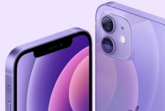 Worth It! Daftar HP Vivo yang Mirip iPhone 12 Kamera Nggak Kalah Bening Kualitas Video Juga Mantap 