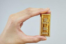 Waspada! Apakah PT Golden Diamond Harisa Penipuan? Pastikan Kamu Tak Jadi Korban Ya