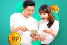 Apakah Dolpheen Indonesia Aman? Berikut Review Lembaga Mediasi Utang di Pinjaman Online