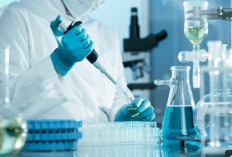 Mengenal Laboratorium Sains: Pengertian, Fungsi, Jenis, Hingga Alat-Alat yang Digunakan Dalam Penelitian 