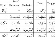 Mengenal Isim Mufrod dan Cara Menggunakannya, Untuk yang Belajar Bahasa Arab