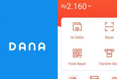 Pinjam Uang 25 Juta Langsung Ditransfer ke Dana? Rekomendasi Aplikasi Pinjol Resmi OJK!