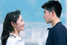 TAMAT! Nonton Drama China The Science of Falling in Love (2023) Full Episode Sub Indo, Penjelasan Ending Cerita