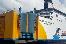 Jadwal Kapal Laut Makassar-Surabaya Februari 2023, Tersedia Kapal PELNI dan DLU