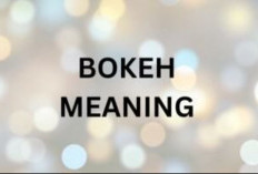 Link Video Bokeh Japanese Word Origin Meaning Viral, Tanpa Sensor Cek Langsung Hanya Disini! 