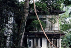 Lokasi Desa Kenongko, Desa Misterius Tanpa Suara Adzan, Benar-Benar Ada di Kehidupan Nyata? Simak di Sini Faktanya