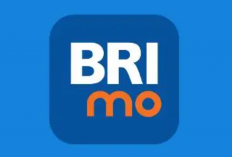 BRImo Gangguan Hari Ini Terbaru Mei 2024, Tak Usah Panik! Begini Cara Mengatasi Paling Mudahnya