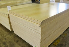 Harga Triplek Melamin Ukuran 12x240 Update Mei 2024, Tidak Mudah Lapuk Cocok Untuk Rumah!