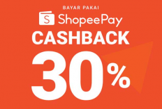 Cashback Shopee Masuk Kemana? Buat Para Seller Ketahui Dulu Hal Berikut Ini!