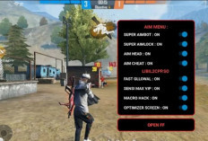 Download Regedit FF Ruok Auto Headshot Latest Version 2024, VIP Resmi Tanpa Password!