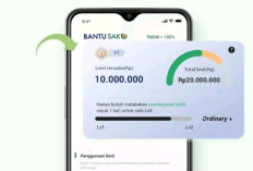 Resiko Gagal Bayar Pinjol Bantu Saku Terbaru 2024, Benarkah Langsung Didatatangi DC Lapangan?