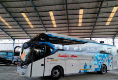 Harga Tiket Bus Bulak Kapal Bekasi Timur Berikut Alamat dan Nomor WA Agen Bus yang Masih Aktif 