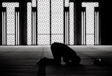 Perbedaan Mandub dan Sunnah Berdasarkan Hukum Islam, Catat Biar Tidak Lupa