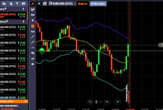 IQ Trade APK Penghasil Uang Apakah Penipuan Atau Terbukti Membayar? Cek Keaslian Aplikasinya Disini!