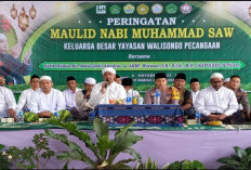 Link Download Template Proposal Maulid Nabi Muhammad SAW, Begini Formatnya yang Benar: Tinggal Edit dan Print 