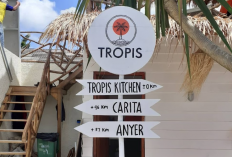 Daya Tarik Cafe Tropis UMS Solo dan Spot Aestheticnya yang Bikin Galeri Penuh, Cocok Banget Buat yang Suka Vibes Ala Pantai
