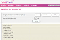 Cara Pakai Kalkulator Kehamilan Luvizhea Untuk Menghitung Usia Kehamilan dan Tanggal Kelahiran Yang Akurat 