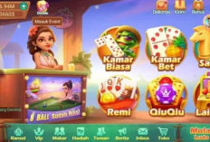 Tutorial Top Up Codashop Higgs Domino Februari 2024 Via DANA, Auto Jadi Sultan Nih!