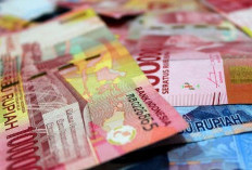 Ini 10 Pinjol Data Busuk Yang Wajib Kamu Hindari Kalau Nggak Mau Kejar-kejaran Dengan Debt Collector: WASPADA! 