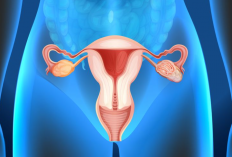 Kode ICD 10 Pada Penyakit Kista Ovarium, Serta Mengenal Beberapa Jenis yang Sering Menyerang!
