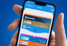 Unduh Biar Cuan! Ini Game Penghasil Saldo DANA yang Wajib Kamu Punya Buat Tambahan Uang Jajan di AKhir Bulan 