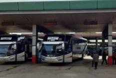 Jadwal Bus Tasikmalaya Ke Depok Terbaru 2024: Harga Tiket dan Fasilitas yang Ditawarkan!