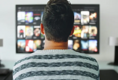 Mise à Jour ! Programme TV Ce Soir TNT Gratuit Et Complet En Francais Mai 2024