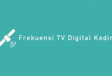 Daftar Frekuensi TV Digital Wilayah Kediri dan Sekitarnya, Beserta Tips Supaya Kanal Lebih Banyak!