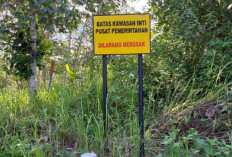 UU Ganti Rugi Lahan Untuk Jalur Hijau, Diatur Dalam PP 19 Ganti Rugi Pembebasan Tanah Untuk Kepentingan Umum