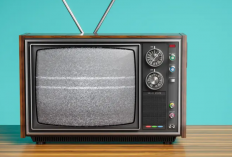 Penyebab Layar TV Tabung Berkedip-Kedip dan Cara Mengatasi Paling Jitunya