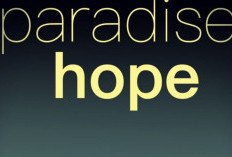 Sinopsis Film Paradise: Hope (2013) Standar Kecantikan Bikin Gadis-Gadis Gemuk Ini Terobsesi Jadi Kurus Sampai Rela Lakukan Apapun