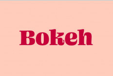 Link Situs Nonton Japanese Word Origin Meaning Full Durasi, Banyak Koleksi Terbarunya Cek Disini!