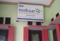 Daftar Alamat PNM Mekaar Terdekat Dari Lokasi Saya Lengkap Dengan Nomor Kontaknya, Ambil Pinjaman Gampang