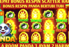 Paling Update! Teknik dan Pola Room Panda Terbaru Khusus HARI INI Bisa Jackpot Chip Banyak Auto Kaya