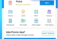 Apakah Aplikasi DANA Bisa Pinjam Uang? Jadi Solusi Debitur yang Galbay!