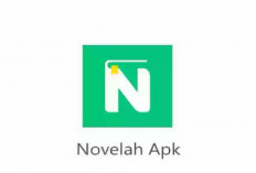 Download Novelah Penghasil Uang Mod APK 2024, Mudah Dapat Cuan! Cuma Baca Novel Bisa Hasilkan Ratusan Ribu Perhari