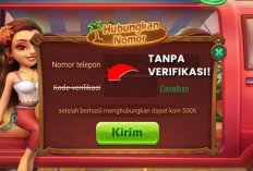 2 Langkah Mudah Login Higgs Domino Tanpa Kode, Bisa Langsung Main Sepuasnya!