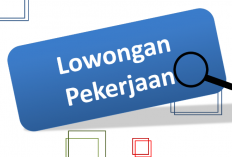 Apakah Loker PT Prima Logistik Penipuan? Inilah Review Jujur yang Wajib Kamu Baca!